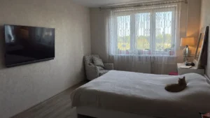 Аренда квартиры с кошкой Москва. Реакция Василисы на новую кровать.