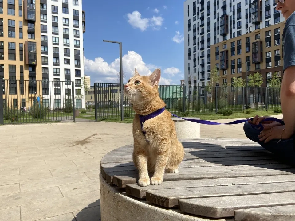 Москва. Василиса отдыхает после тренировки.