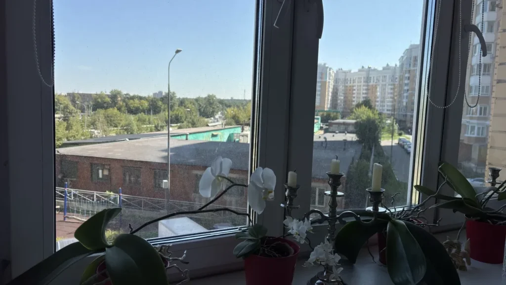 Бирюлёво Восточное заселение. Вид из окна арендуемой квартиры.