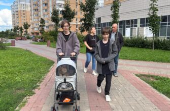 Первый день в новом районе. Прогулка всем семейством и с кошкой Василисой.