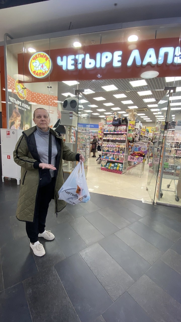 Первая помощь кошки при отравлении